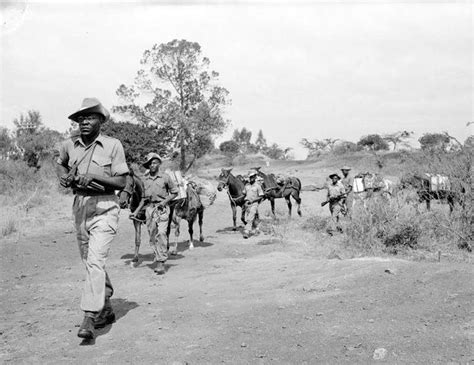 Güney Afrika'da İkinci Yüzyılda Kralın Gözyaşları: Bir Uygarlığın Kaderinde Değişim ve İsyanın Ateşi